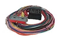 Picture of AEM Universal EMS Wiring Harness AEM Universal EMS 72" Race Harness
